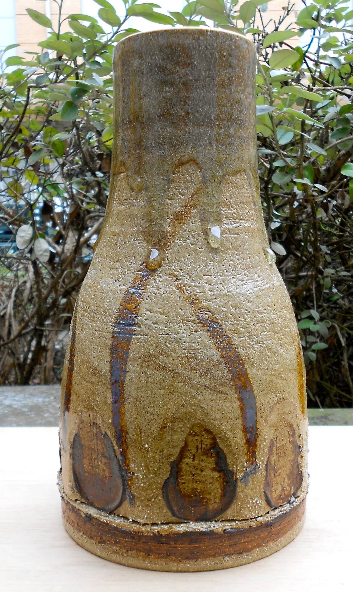 dscn0288.webp