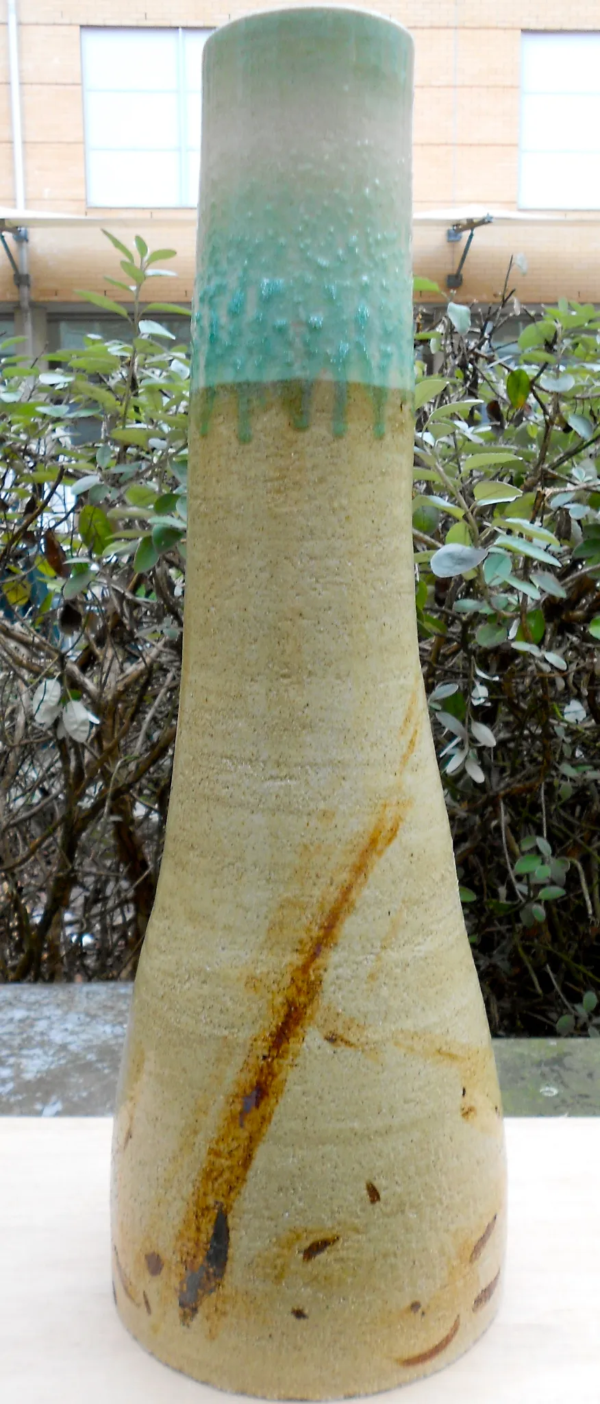 dscn0290.webp