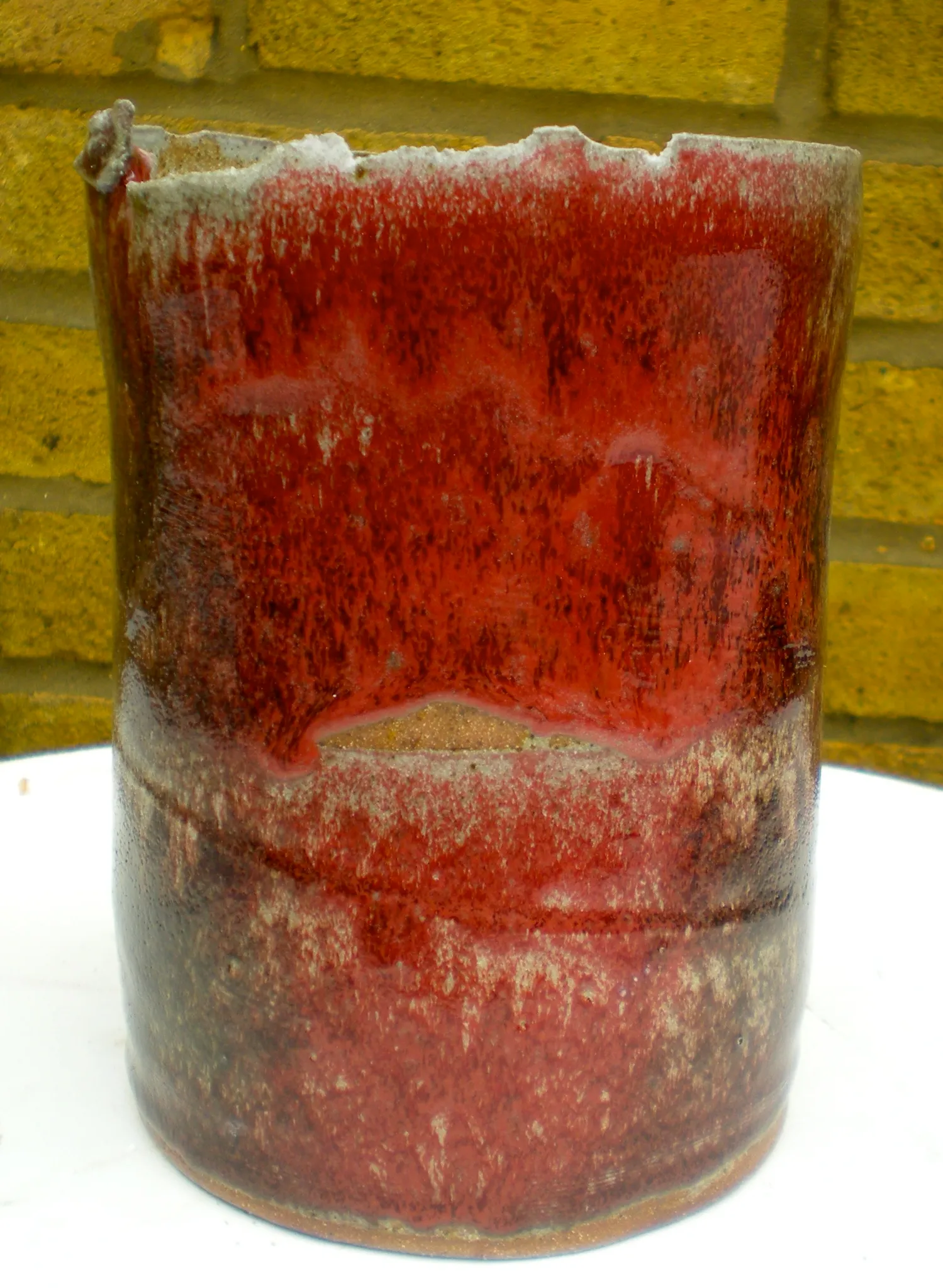 dscn6663.webp