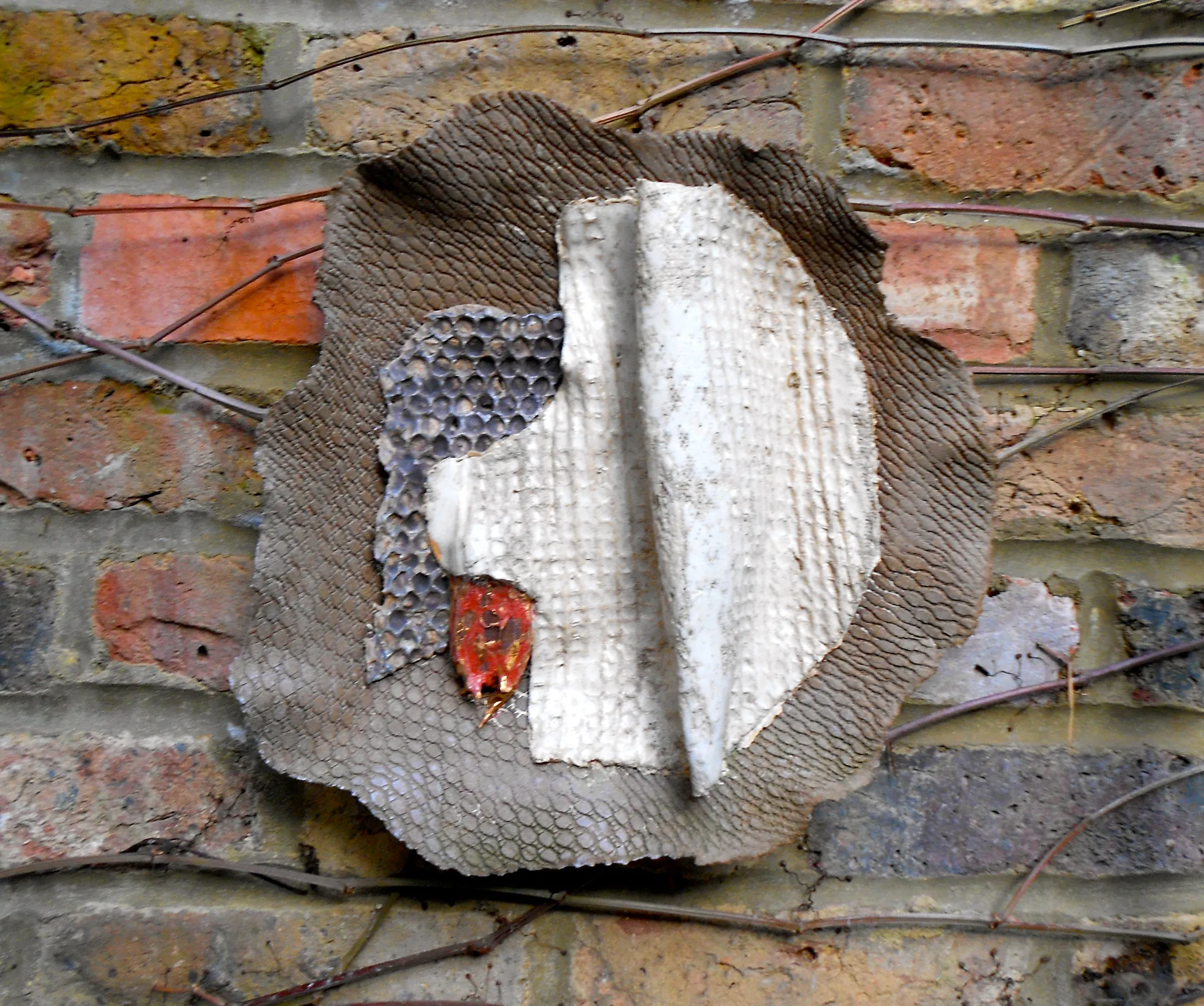 dscn7517.webp