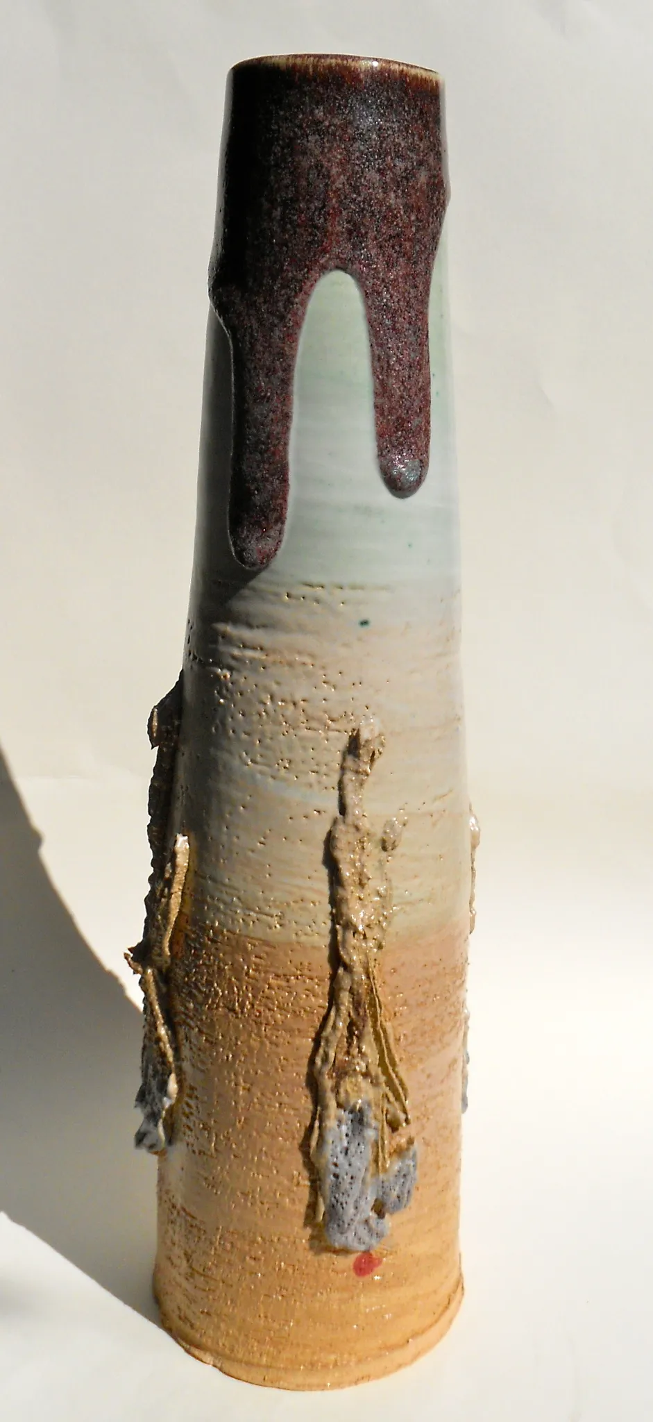 dscn7897.webp